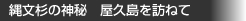 縄文杉の神秘　屋久島を訪ねて